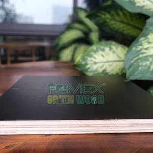Viet Nam Haute Qualité Design Moderne Film Face Contreplaqué Noir Face/Dos Prix Compétitif E2 Core Eucalyptus Construction - Product Image 5
