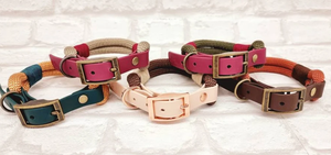 Collier de chien en corde personnalisé de qualité supérieure Corde colorée pour collier de chien, laisse en corde de coton personnalisée de 5 pieds - Product Image 4