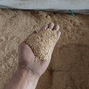 ASERRÍN DE MADERA DE ACACIA/PINO 100% |   Fresco, Limpio y Seco |   Venta al por Mayor y Pedidos de Gran Volumen - Product Image 2