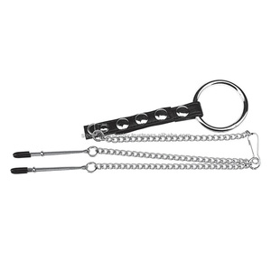 Fabricante al por mayor Proveedor BDSM Abrazadera de pezón de acero Anillo de pene Trébol Juguetes de pezón Abrazadera de peso Juguetes sexuales - Product Image 4