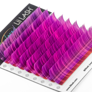 Extensions de cils en cachemire et soie, volume russe, fournitures pour extensions de cils, couleur naturelle, commande personnalisée, vente en gros de cils en vrac - Product Image 5