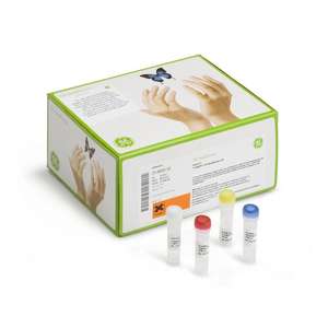 Illustra TempliPhi 500 Kit de suministros de laboratorio 500 Kit de amplificación de reacciones - Product Image 1