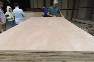 Bintangor Design moderne face à l'emballage contreplaqué mélamine Film face panneau de placage meilleur prix pin bouleau E0/E1/E2 garantie 1 an - Product Image 4