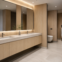Cloison de toilette compacte en panneau alvéolaire HPL Liangxinqing moderne et écologique, durable, imperméable, ignifuge et anticorrosion