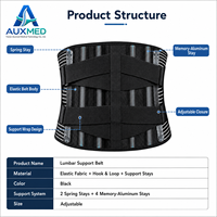Ceinture de soutien lombaire avec élastique réglable pour soulager les douleurs dorsales, protection professionnelle, durable et légère, logo personnalisé