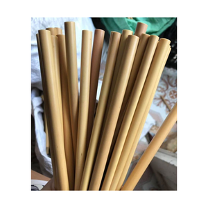 Pajitas de bambú naturales de 20cm, pajitas de bambú naturales, pailles de bambú desechables ecológicos de 99 GD - Product Image 1