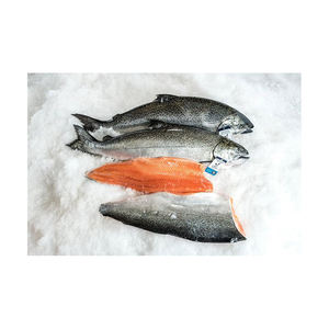 Salmón Atlántico Entero Congelado de Alta Calidad, Grado A, Bajo en Azúcar y Libre de Grasas Trans - Product Image 4