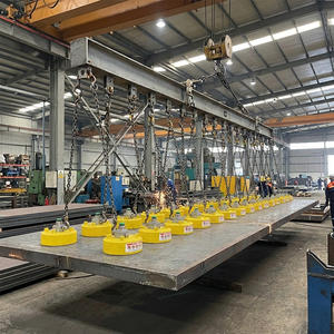 Électroaimant robuste à commande manuelle pour lignes de traitement de l'acier avec 4 points de fixation M12 - Product Image 2