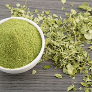 Poudre organique en vrac en gros de Moringa pour l'exportation - Product Image 4