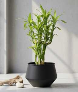 Jardinière en métal noir mat de qualité supérieure, pot rond décoratif pour l'intérieur de la maison, salon et balcon, jardin - Product Image 1