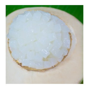 La gelée de noix de coco pour les entreprises alimentaires et de boissons Nata De Coco améliore les boissons fruitées et les textures de dessert - Product Image 5