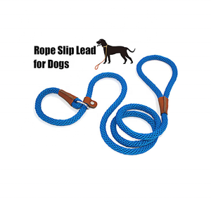 Tali Slip kepang latihan anjing tanpa tarik, tali timbal tugas berat ramah lingkungan sederhana poliester padat unik - Product Image 5