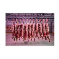 Karkas Sapi Beku Halal / Kaki Sapi Beku / Kepala Sapi Beku