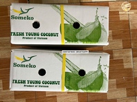 Coco joven y fresco de Vietnam Marcas OEM Precio barato Buena calidad Coco fresco dulce _ WA84972678053