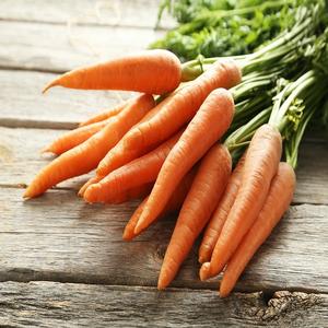 Premium Quality Fresh Carrots available for <b>Wholesale</b> and export Fast Delivery ensuring <b>crisp</b> healthy and nutritious vegetables - Product Image 4