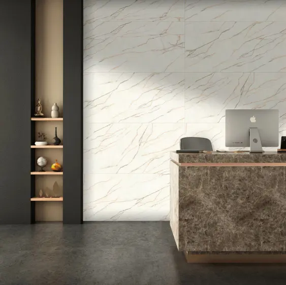 600x1200mm With Porcelain Carving Surface Having Matte Finish Used For Reception Area