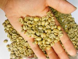 HANCOFFEE Vietnam Récolte 2025 Grains de café Arabica vert de qualité supérieure - Meilleur prix compétitif - Conditionné en vrac 60 kg/sac PP - Product Image 5