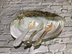 Cuchara madre perla Cuchara de caviar Cuchara de concha marina para el hogar y el restaurante - Product Image 4