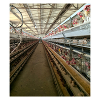 Poulailler à bas prix MT pour 10 000 oiseaux, cages à poules pondeuses, poulailler à œufs de poulet à vendre en Afrique du Sud
