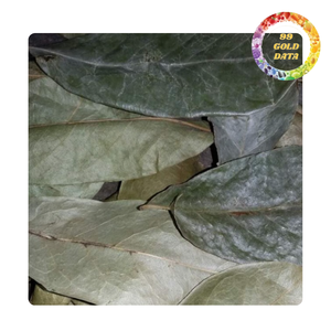 Hojas de Guanábana natural | Sabor suave y beneficios para la salud en la fabricación de té | Suministro a granel de Vietnam - Product Image 2