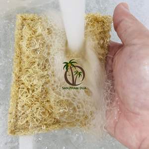Esponja ecológica de alta calidad para decoración del hogar, utensilios de cocina de VIETNAM, venta al por mayor, esponja de coco - Product Image 5