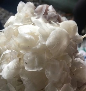 ขนาดปลากะพงขาวจากแม่น้ำโขง ossein สำหรับอุตสาหกรรมอาหารคอลลาเจนจาก99โกลด์ดาต้าเวียดนาม - Product Image 5