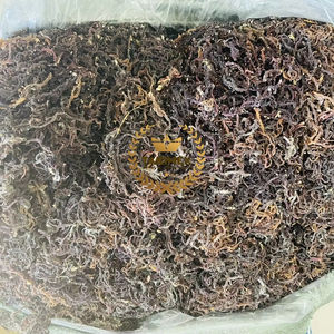 Seamoss | seamos seamos สีขาวแห้งถูกส่งออกจากผู้ผลิตในเวียดนาม - Product Image 1