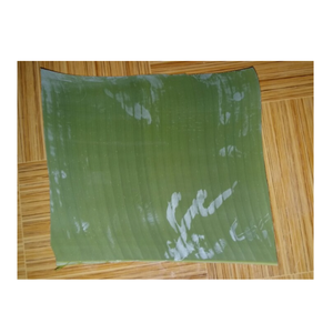 ใบตองสำหรับห่ออาหารใบกล้วยเขตร้อนสีเขียวสดแช่แข็ง - Product Image 5