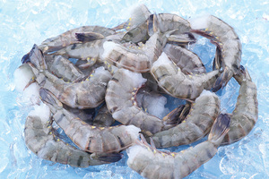 Camarones Tigre Negro de Vietnam en Oferta, Variedad Entera, Precio de Mayoreo, Camarones Tigre Negro Congelados para Exportación / CAMARONES TIGRE SIN CABEZA EXPORTADOS a la - Product Image 6
