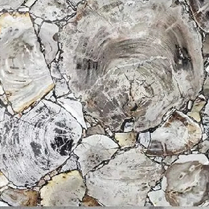 Azulejo de madera petrificada para decoración del hogar Interior para aplicación de Villa - Product Image 5