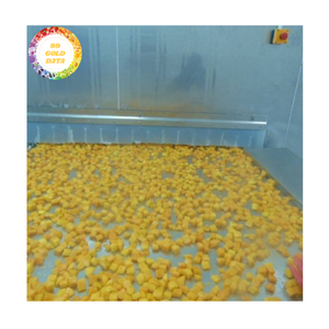 Frozen <b>Mango</b> Vietnam Origin Made From <b>Fresh</b> <b>Mango</b> Suitable For Smoothies Desserts Bakery Or Food Processing - Product Image 5