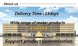 Mesin traksi cepat seri JK-1 untuk Lift konstruksi - Product Image 5