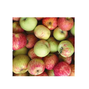 Highest Quality Best Price Direct Supply Gravenstein Apple | Red Fresh Apples | Fresh Fruit Bulk Fresh Stock Available
