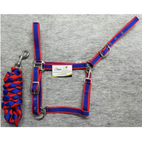 Ensemble de laisse et de harnais anglais en nylon réglable sur mesure pour chevaux, 2 mètres, écologique, logo personnalisé, qualité supérieure, robuste