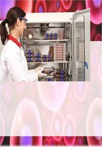 Incubadora de CO2 para cultivos bacterianos e investigación Equipo esencial de Microbiología Galvanizado laminado de alta calidad y alta resistencia - Product Image 3