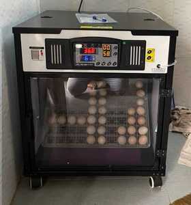 Máy ấp trứng tự động chất lượng cao Việt Nam, Máy ấp trứng ấp trứng thiết bị nuôi-Sản xuất tại Việt Nam - Product Image 2
