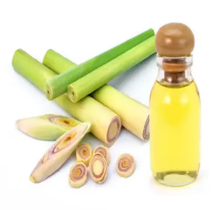 Aceite esencial de hierba de limón puro de grado terapéutico 100%, aceite de vela de jabón con sabor a Esencia de India