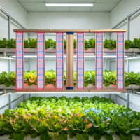 Lampe de culture LED haute performance détachable avec longueur de câble réglable pour la croissance des plantes d'intérieur à toutes les étapes