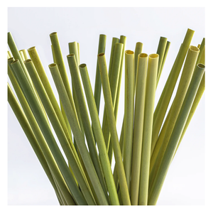 2023 nuevo producto ecológico 100% pajitas desechables naturales para beber pajitas de hierba de alta calidad - Product Image 1