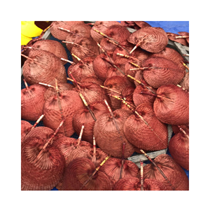 Ventilateur à main en bambou Vietnam Premium rayons en bambou légers avec plis en papier pour les cadeaux de cérémonie et la marque promotionnelle - Product Image 4