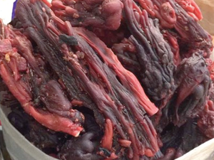 Goma Kapok Seca Natural, Ingrediente Herbal Tradicional, Piezas Enteras o Hebras Cortadas con Precio Competitivo - Product Image 6