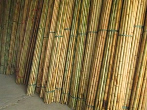 Tubo de bambú de calidad de exportación de Vietnam, de 99D, exportador global, diseñado para uso versátil en decoración de edificios y paisajismo - Product Image 4