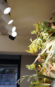 Good Working Top Class 45W Hades Optimal Design Interiors <b>Led</b> <b>Spot</b> Surface Mounted Downlight - Product Image 5