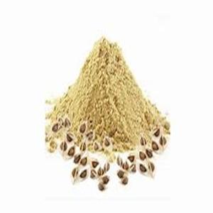 Semillas de Moringa Oleifera orgánicas de la mejor calidad para beneficios medicinales y de salud Usos industriales y cosméticos Directo de La Granja - Product Image 4