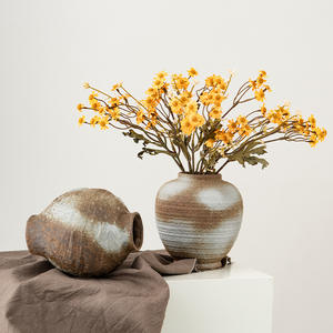 Vase en céramique rustique pour la décoration de la maison, vases en terre cuite de style campagnard, vase texturé vintage délavé, vase pour pampas pour la décoration du salon - Product Image 2