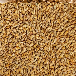 Semillas de lino secas naturales de grano entero para cocinar, hornear y preparar refrigerios saludables - Product Image 6