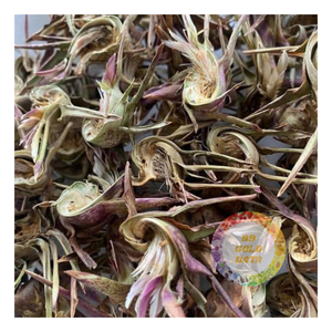 Hochwertige Großhandels-GMO-freie Getrocknete Artischocke/Weißer Atiso AD Verarbeitet aus Vietnam in Großmengen mit Geschenkverpackung - Caryln - Product Image 1