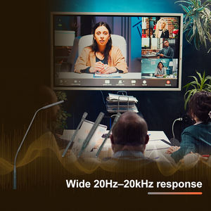 Digital Signal Processing <b>Gooseneck</b> <b>Microphone</b> - Product Image 4