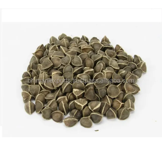 Beli ekstrak biji Moringa grosir penjualan laris 100% murni & alami dari India dalam 25 Kg kantong PP dari India