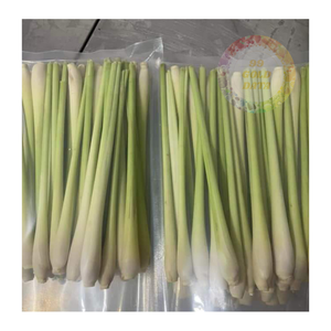 ตะไคร้แช่แข็งคุณภาพส่งออกจากเวียดนาม-สินค้าจำนวนมากสำหรับผู้จัดจำหน่ายและผู้นำเข้า-ราคาที่แข่งขันได้และรับประกันความสดใหม่ - Product Image 3